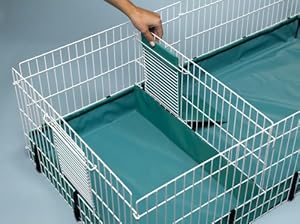 Midwest Interactive Guinea Habitat Plus