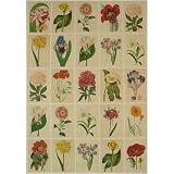 Botanica Flower Images Cavallini Wrap or Decoupage paper,vintage look poster or print