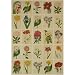 Botanica Flower Images Cavallini Wrap or Decoupage paper,vintage look poster or print