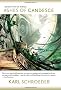 Ashes of Candesce (Virga)