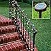 ALEKO Solar Powered Christmas Lights String Light 100 LED Multicolor