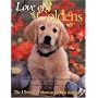 Love of Goldens: The Ultimate Tribute to Golden Retrievers (Petlife Library)