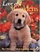 golden retriever - Love of Goldens: The Ultimate Tribute to Golden Retrievers (Petlife Library)