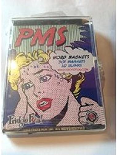 Fridge Fun 301 Magnetic PMS Word Magnets Refrigerator Pencil and Blanks