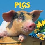 Pigs 2009 Calendar