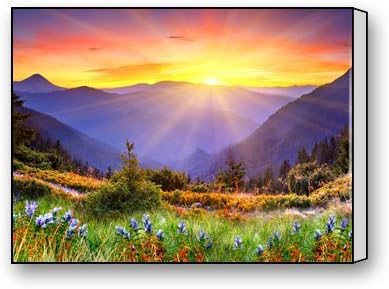 ArtShop Gallery Wrapped Beautiful Flower Mountain Sunrise Custom Modern Art Painting Wall Decor Canvas Print