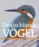 Deutschlands V&ouml;gel: Faszinierendes Leben zwischen K&uuml;ste und Gebirge - Einhard Bezzel