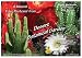 A Musical Video Postcard from Desert Botanical Garden