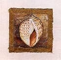 Conch Shell - Artist: Charlene Olson - Image Size: 7.63 by 8.03 inches - stretched USA orders only