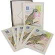 Parakeet Cavallini Boxed Cards and Envelopes, Set of 10 with Vintage Look
