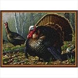 IMAGE OF Hautman Woodland Turkey Rug Size: 3'10