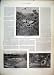 1897 Gardens Residency Zomba Papyrus Marsh Storks