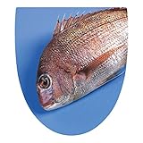 トイレのふたが大変身！　＜べんぶたステッカー＞　フィッシュA　Panasonic温水洗浄便座用