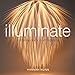 Illuminate: Contemporary Craft Lighting
