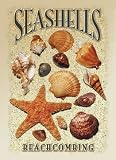 Sea Shells Inscription Tin Beachcombing - Coquillages acier Plaque murale