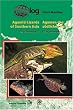 Terralog Agamen des s�dlichen Asien 1 / Agamid Lizards of southern Asia 1