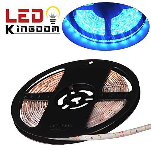 LEDKINGDOMUS Ice Blue Waterproof DC 12V Flexible LED Light Strips, 16.4ft/5m 300 Units 3528 SMD, for Lighting and Decoration