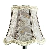 Anniston Accessory Lamp Shade Size: 5.14 Width