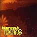 Burning Paris