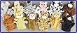 12 DELUXE Soft Plush Velour Animal Hand Puppets - One Dozen Sealed