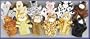 1 Dozen Velour Animal Hand Puppets Kids TOY Preschool Kindergarten