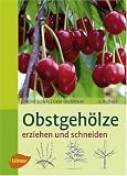 Obstgeh&ouml;lze erziehen und schneiden - Bernd Schulz, Gerd Gro&szlig;mann
