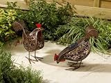 Hens Solar Light (Pack of 2)