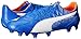 PUMA Men's Evospeed Sl Leather FG Soccer Shoe