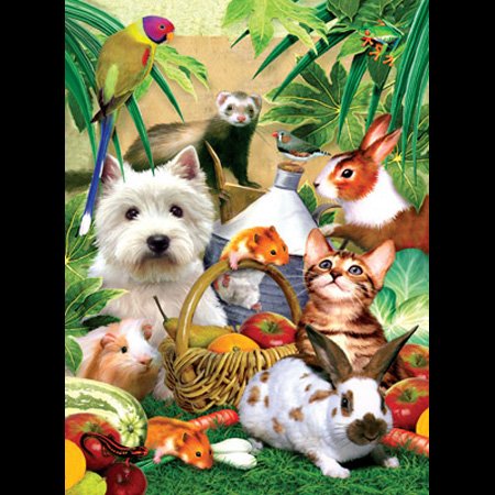 51QsuAnV2qL Howard Robinson Pets Picnic 300Pc Jigsaw Puzzle