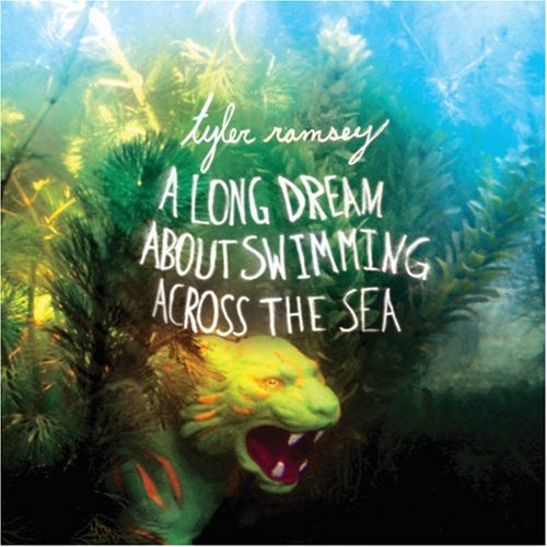 A Long Dream About Swimming Across the Sea