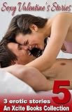 Sexy Valentines Stories - Volume Five - An Xcite Books Collection