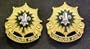 2nd ACR (Armored Cavalry Regiment) Distictive Unit Insignia-Pair (TOUJOURS PRET)
