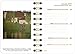 2015 Klimt Deluxe Pocket Engagement Calendar