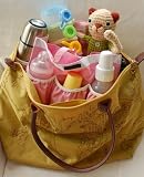 Diaper Bag Insert - Bag Organizer Blue and Pink
