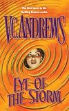Eye of the Storm (Hudson)