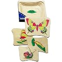 Beleduc Wooden 5-Layer Wooden Puzzle, Butterfly Life-Cycle Puzzle