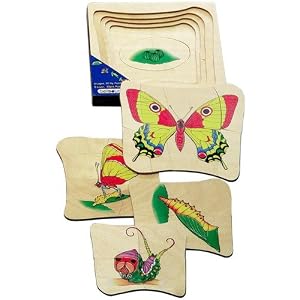Butterfly Life Cycle Five Layer Puzzle by Beleduc