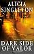Dark Side of Valor: A Novel