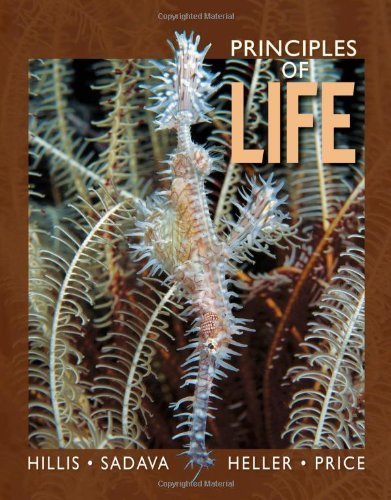 Principles of Life 1st (first) by Hillis, David M., Sadava, David E., Heller, H. Craig, Price, (2010) Hardcover