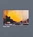 Books : Nigel Cooke: Paintings 01-06