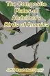 The Composite Plates of Audubon's Birds of America