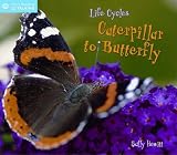 Cover of Life Cycles by Sally Hewitt 1845383044