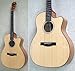 FENDER ESA-10CE/NAT AR[XeBbNM^