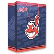 Cleveland Indians MLB Medium Gift Bag (9.75 Tall)"