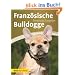 Franz�sische Bulldogge