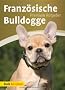Franz�sische Bulldogge