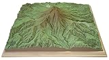 やまつみ 【御嶽山】 1/50,000