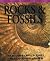 Visual Factfinder: Rocks & Fossils