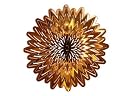 Next Innovations Copper Medium 11" Sunflower Spinner