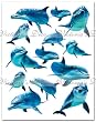 Home Decor Mural Art Bathroom Sticker--dolphins As-3168